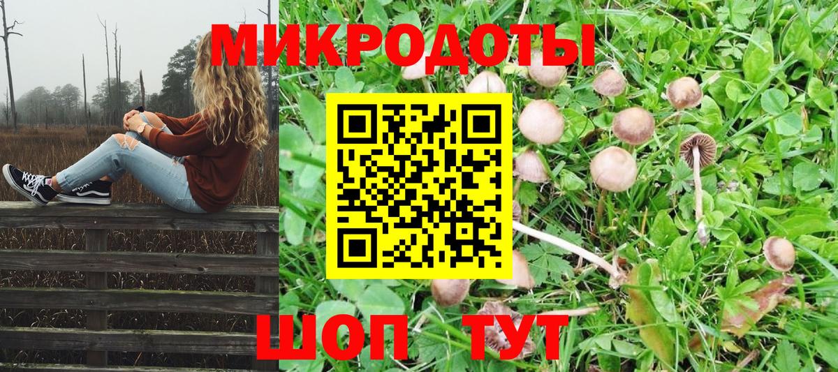 Галлюциногенные грибы прущие грибы  Вход с VPN  Псилоцибиновые грибы прущие грибы  Татарск 